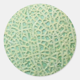 melon pattern classic round sticker