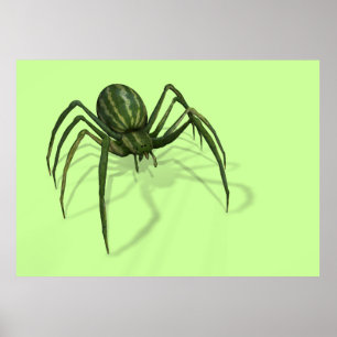 Melon Spider Poster