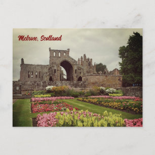 Melrose Abbey Postcard, Scotland Postcard