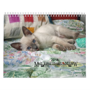 Melt Your Heart - MEOW 2016 Kitten Calendar