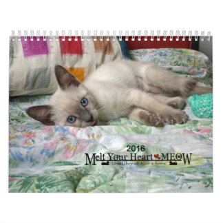 Melt Your Heart - MEOW 2016 Kitten Calendar