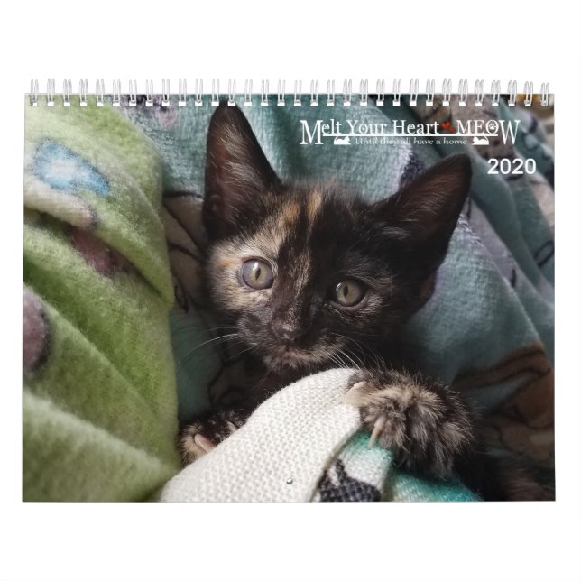 Melt Your Heart - MEOW 2020 Kitten Calendar (Cover)