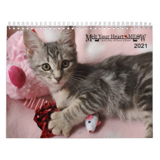 Melt Your Heart - MEOW 2021 Kitten Calendar