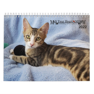 Melt Your Heart - MEOW 2022 Kitten Calendar