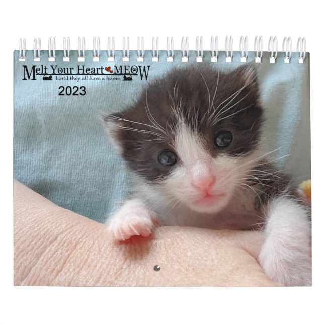 Melt Your Heart - MEOW 2023 Kitten Calendar (Cover)