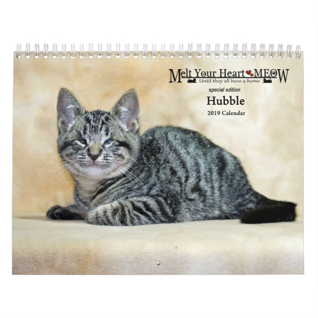 Melt Your Heart Meow Hubble 2019 Calendar (Cover)