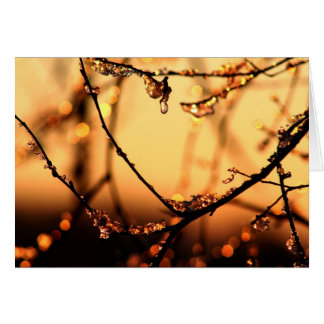 Melting Dawn
