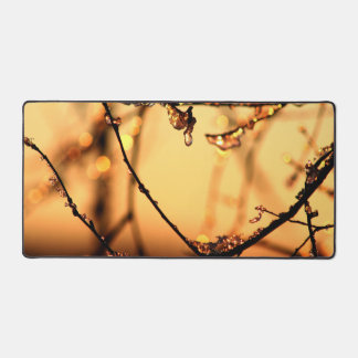 Melting Dawn Spring Branches Morning Sunrise Photo Desk Mat