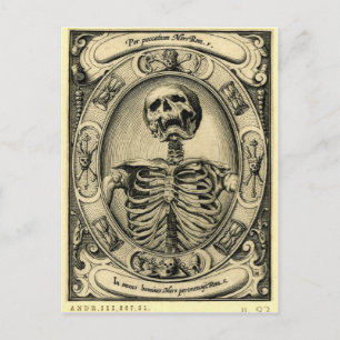 Memento Mori Postcard