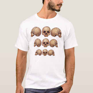 Memento Mori Skulls Descending Shirt
