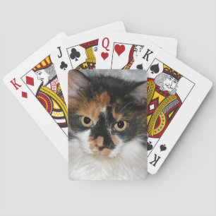 MeMeow Playing Cards