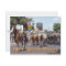 Memorable Fort Worth Texas Cattle Drive Postcard