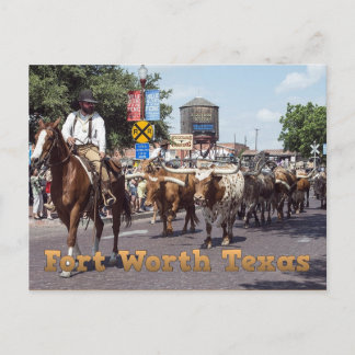 Memorable Fort Worth Texas Cattle Drive Postcard