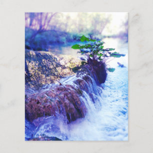 memorial card water haze