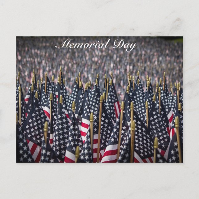 Memorial Day American Flags Postcard (Front)