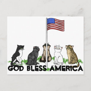 Memorial Day Cat Postcard