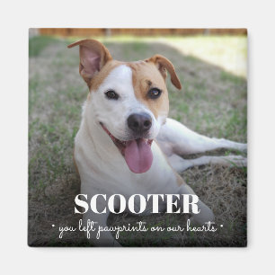 Memorial Dog Photo Pawprints On Our Hearts Magnet