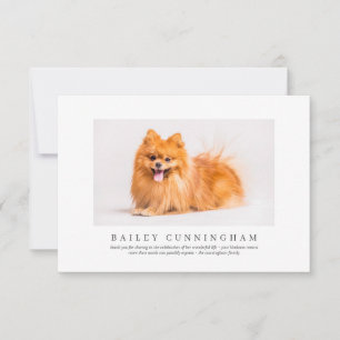 Memorial Funeral For Pet   Elegant Modern Photo Thank You Card