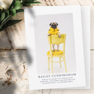 Memorial Funeral For Pet   Elegant Modern Photo Thank You Card