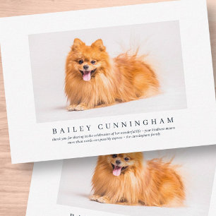 Memorial Funeral For Pet   Elegant Modern Photo Thank You Card