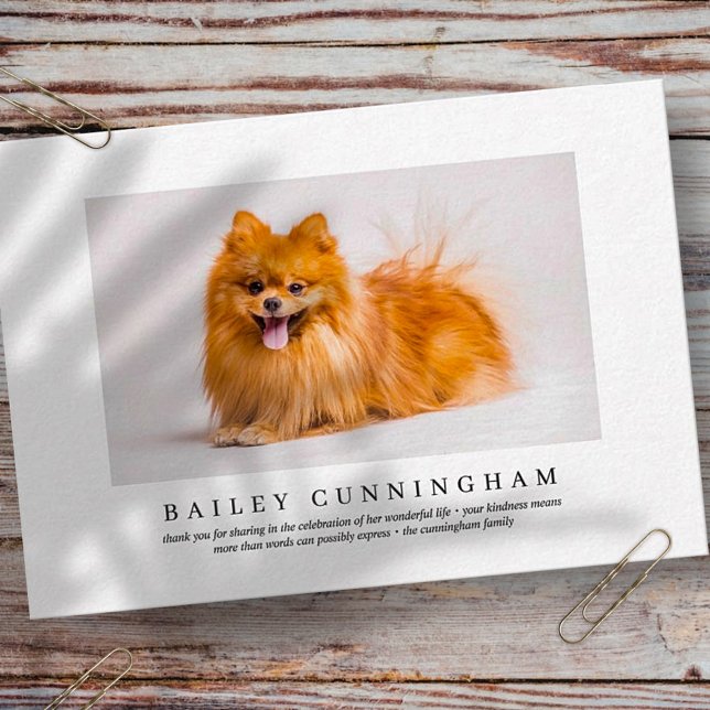 Memorial Funeral For Pet | Elegant Modern Photo Thank You Card (Creator Uploaded)