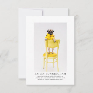Memorial Funeral For Pet Elegant Modern Photo Thank You Card