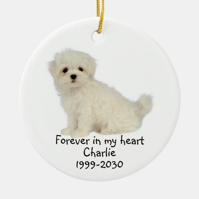 Memorial Keepsake Dog Pet Animal Ceramic Ornament (Front)