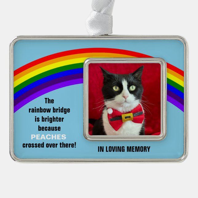 Memorial Pet Cat Christmas Rainbow Bridge Ornament (Front)