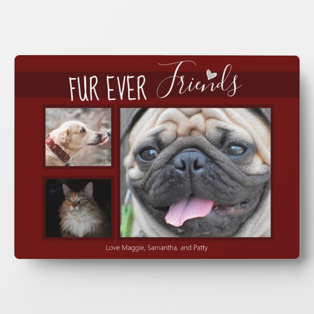 Memorial Pet Remebrance Forever Friends Photos Plaque (Front)