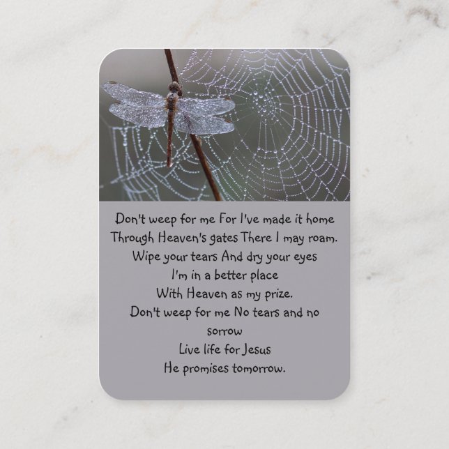 Memorial Remembrance Dragonfly Spider Web Business Card (Back)