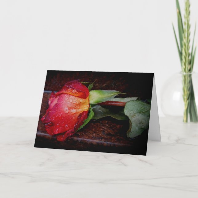 “Memorial Rose” Sympathy Card (Front)