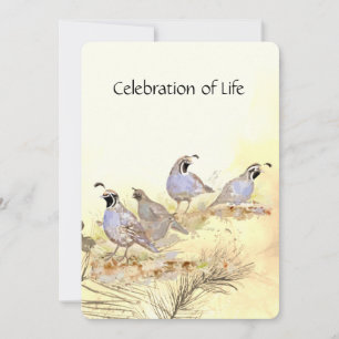 Memorial Service California Quail Bird Group Invitation