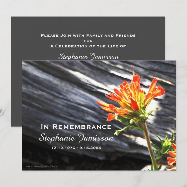 Memorial Service Invitation, Indian Paintbrush Invitation (Front/Back)
