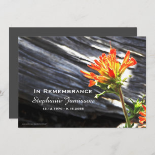Memorial Service Invitation, Indian Paintbrush Invitation