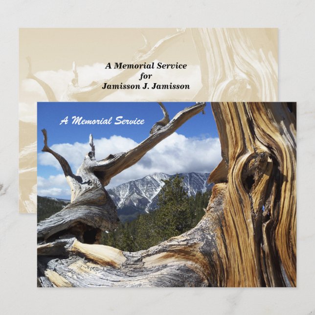 Memorial Service Invitation Mountain Thru Tree (Front/Back)