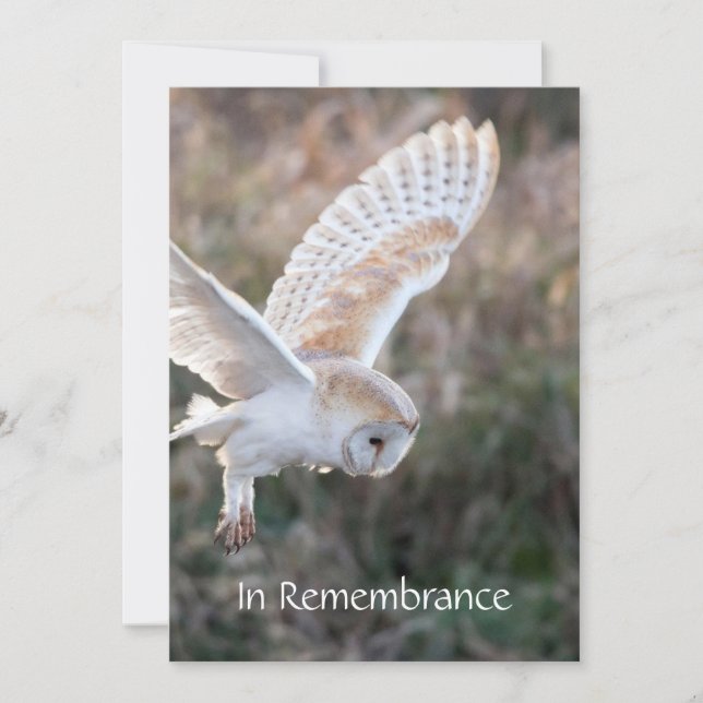 Memorial Service Invite Barn Owl Bird Flight (Front)