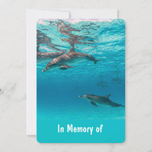 Memorial Service Invite Dolphins Underwater Ocean