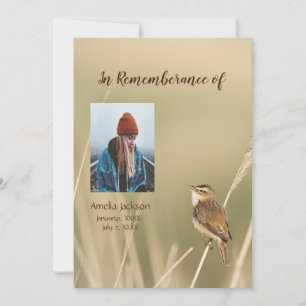 Memorial Service Invite Sparrow Bird Watcher 