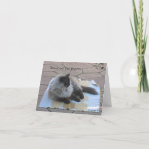 Memories cat note card