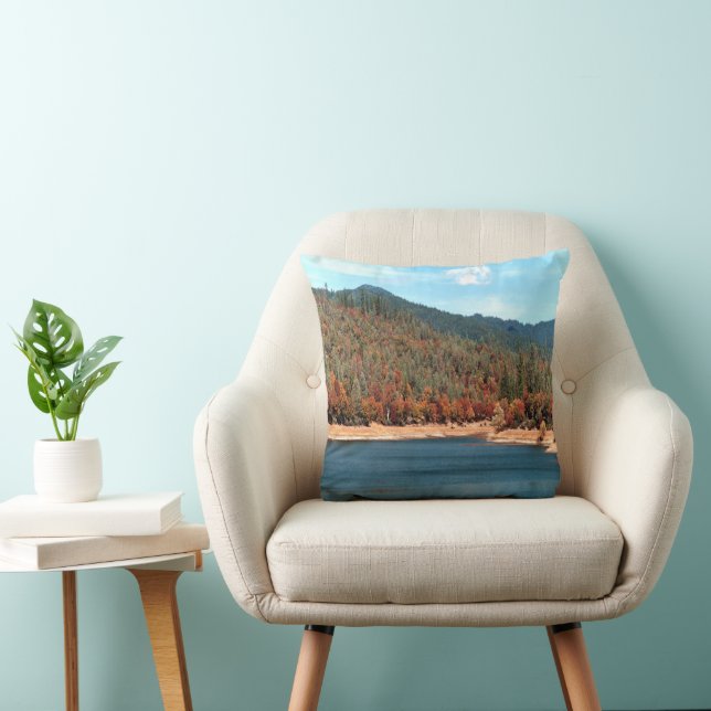 Memories of Ewing Reservoir...... Cushion (Chair)