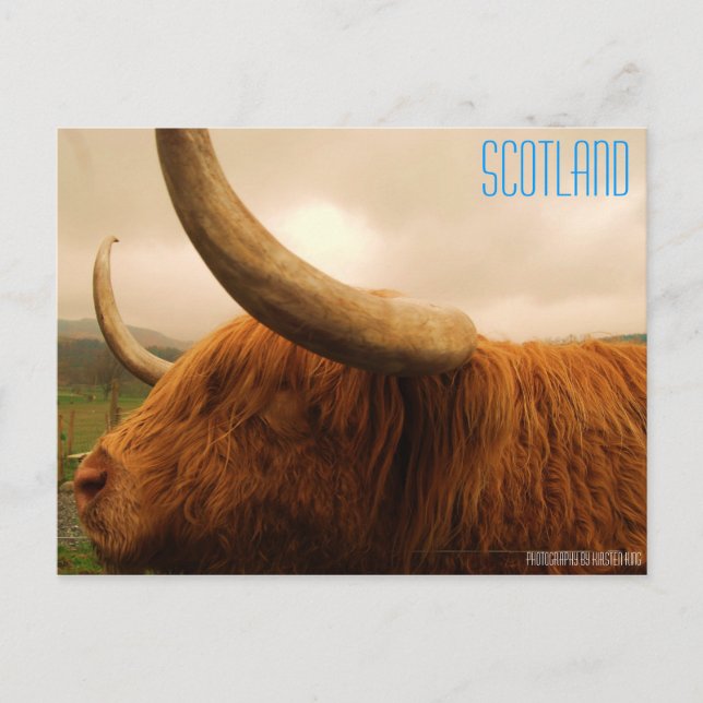 memory 2 216, SCOTLAND, Photography by Kirsten ... Postcard (Front)