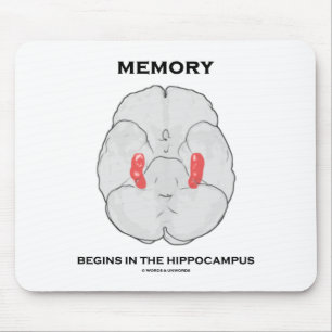 Memory Begins In The Hippocampus (Psychology) Mouse Mat