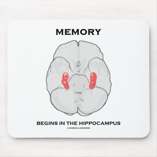 Memory Begins In The Hippocampus (Psychology) Mouse Mat (Front)