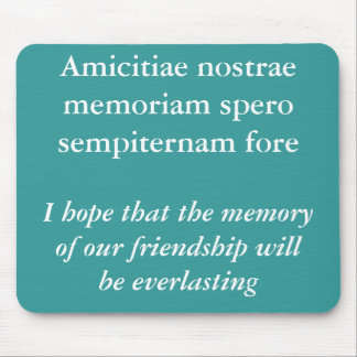 Memory of our friendship mouse mat