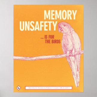 Memory Unsafety is for the Birds Poster