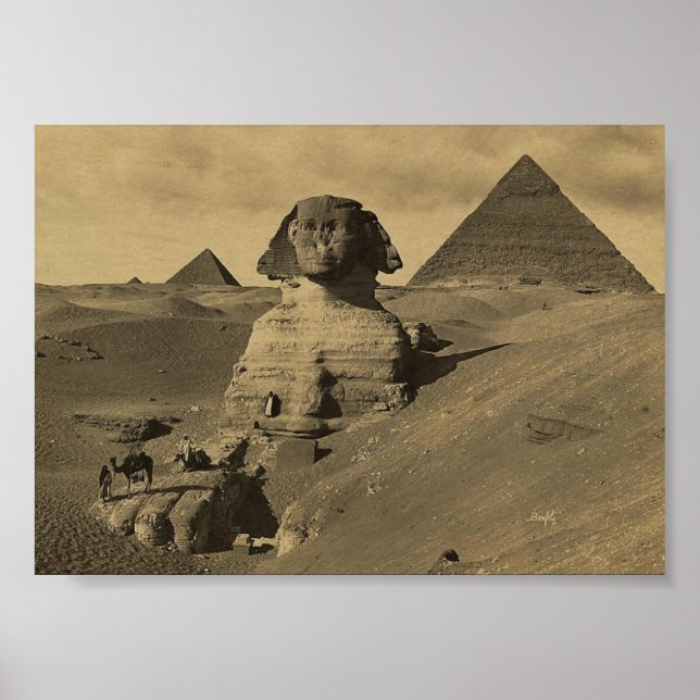 Men and Camels on the Paw of the Sphinx, Pyramids Poster (Front)