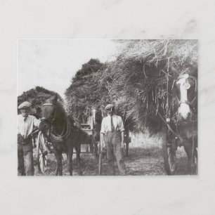 Men At Work Vintage Black & White - Postcard