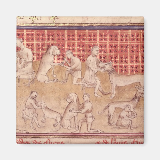 Men caring for hunting dogs magnet (Front)