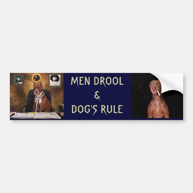 Men drool bumper sticker (Front)