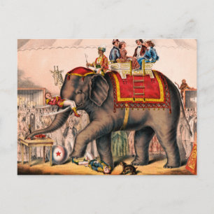 Men Performing A Circus Act With An Elephant. Postcard